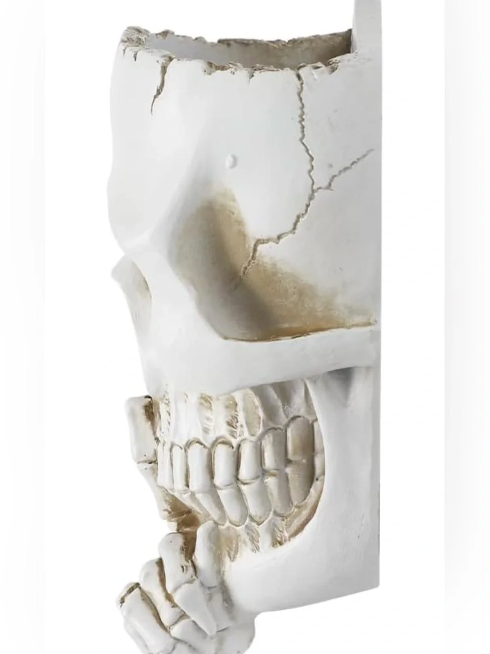 👻NEW - “DON’T SPEAK” Spooky Skull Wall Flowerpot - 7.87×5.12 inches